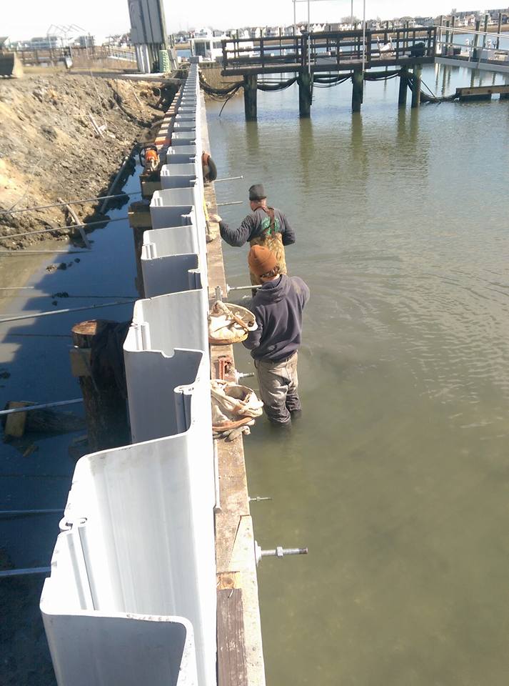 Bulkhead installation South Jersey, Walters Brother Marine Construction, Dock Connection LLC